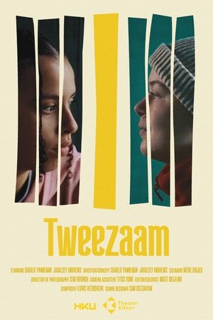 Poster Tweezaam 2024