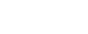 Inspekcja — Logos 1