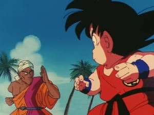 Dragon Ball Season 1 Episode 25