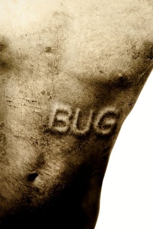 VER Bug (2006) Online Gratis HD
