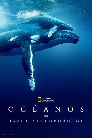 poster Ocean with David Attenborough