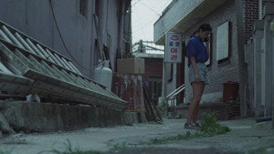 The Summer That Slipped Away