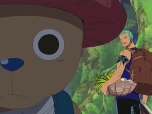 One Piece: Season 9 Episode 286