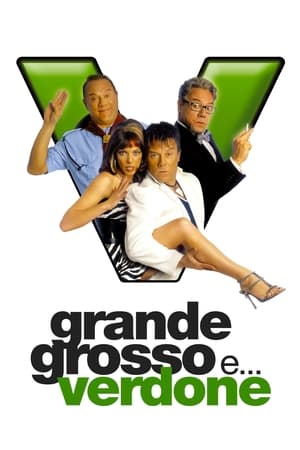 Poster Grande, grosso e Verdone (2008)