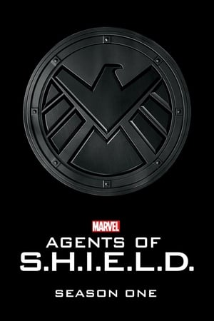 S.H.I.E.L.D. Ajanları