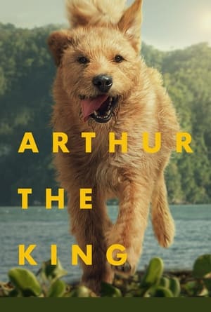 Poster Arthur the King 2024