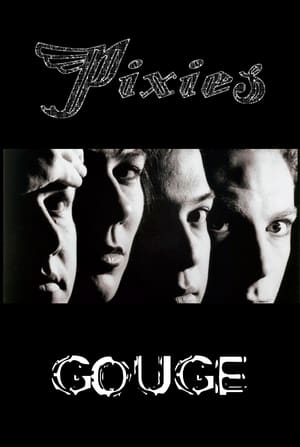 Poster Pixies: Gouge 2004