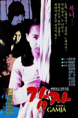 Poster 土豆 1987