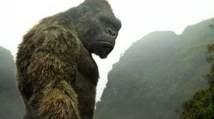Kong: Skull Island (2017) Bluray