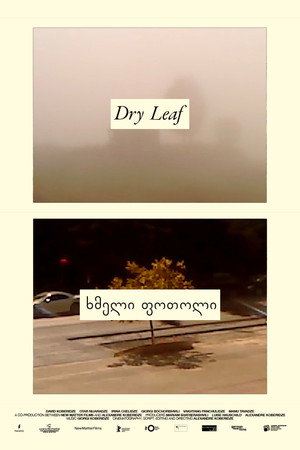 Dry Leaf 32