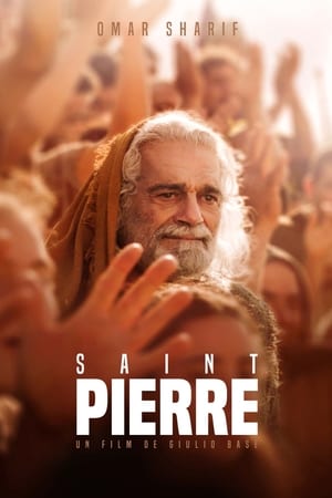 Poster Saint Pierre 2005