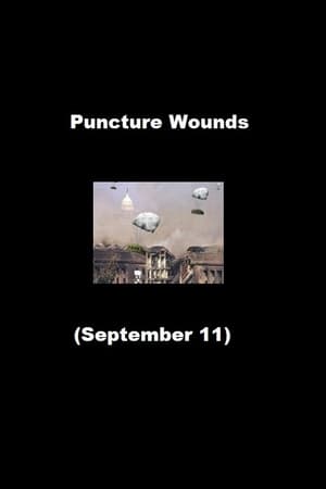 Puncture Wounds (September 11) poster