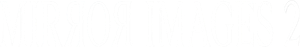 Mirror Images II — Logos 2
