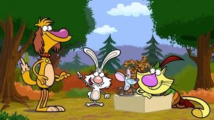 Nature Cat: 1×4