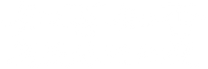 Ảnh 41