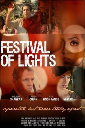 Poster Festival of Lights (2012)