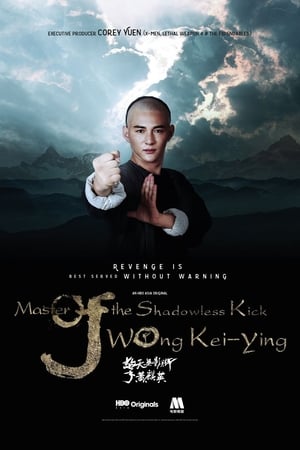 Poster Master of Shadowless Kick: Wong Kei-Ying 2016