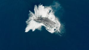 Les Gardiennes de la planète