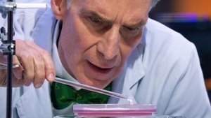 Bill Nye rettet die Welt Staffel 1 Folge 4