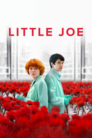 Poster Little Joe 2019