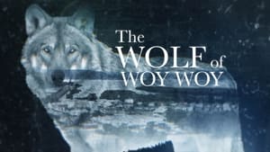 Image The Wolf of Woy Woy