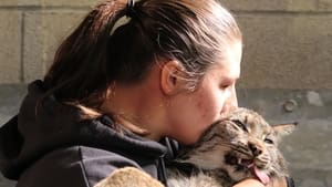 Secrets of the Zoo The Hissing Lynx