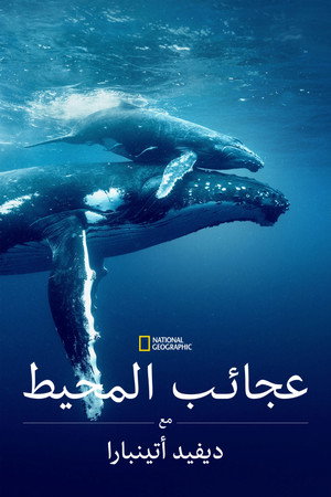 Ocean with David Attenborough 71