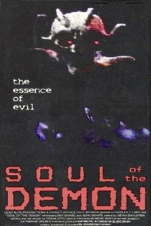 Poster Soul of the Demon (1991)