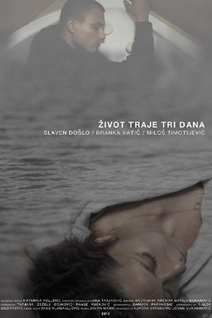 Poster Život traje tri dana 2017