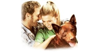 Red Dog (2011)