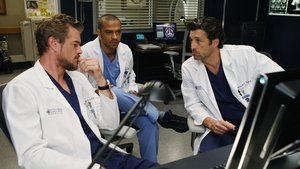 Grey’s Anatomy: 8×4