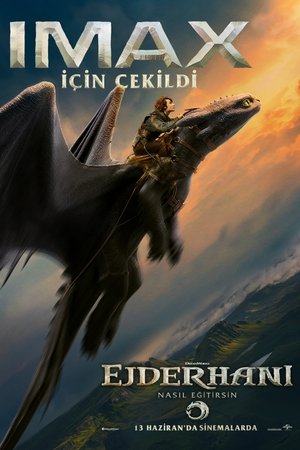 poster How to Train Your Dragon