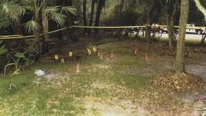 Buried In The Backyard Hog Trail Murders