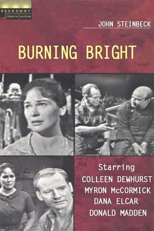 Broadway Theatre Archive: Burning Bright