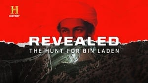 Revealed The hunt for Bin Laden