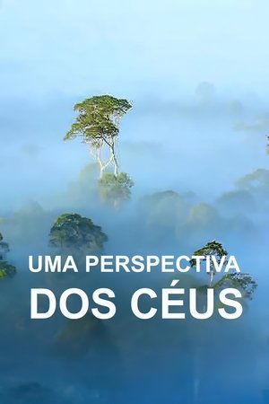 Poster Uma Perspetiva dos Céus 2024