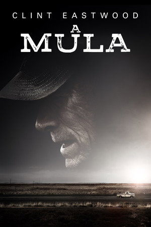 The Mule 55
