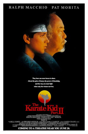 Постер фильма «Парень-каратист 2 (1986)» — (20 из 66)