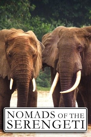 Poster Nomádi ze Serengeti 2015