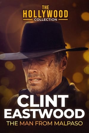 Poster Clint Eastwood: A malpasói férfi 1994