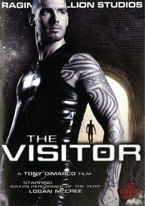 Image The Visitor