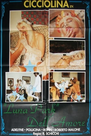 Poster Indecent Passion (1991)