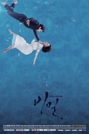 Poster 비밀 2013