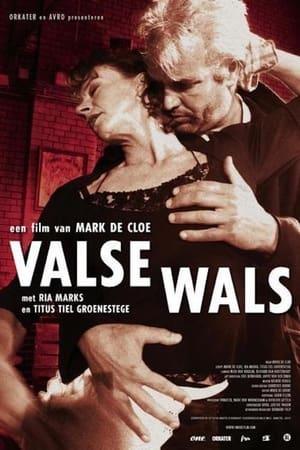 Poster Valse wals 2005