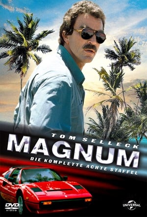 Magnum - Saison 8 - poster n°2