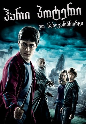 ჰარი პოტერი და ნახევარპრინცი (2009)