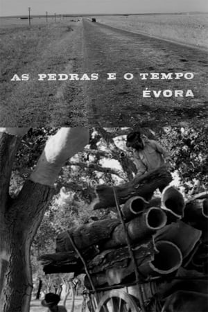 As Pedras e o Tempo poster