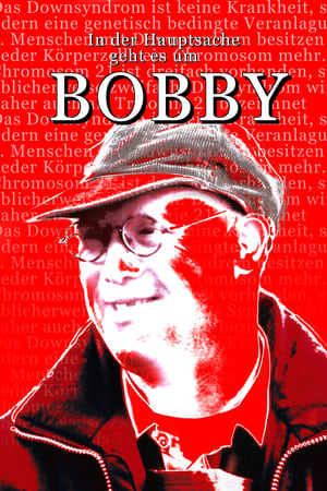 Poster Bobby (2002)