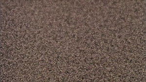 Pneuma Online En Netflix