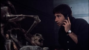 X-Files: Stagione 2 x Episodio 25